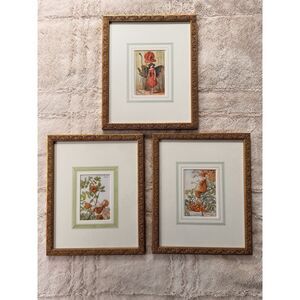 Set of 3 Cecily Mary Barker Flower Fairies Framed Prints – Gladstone Jones –MINT